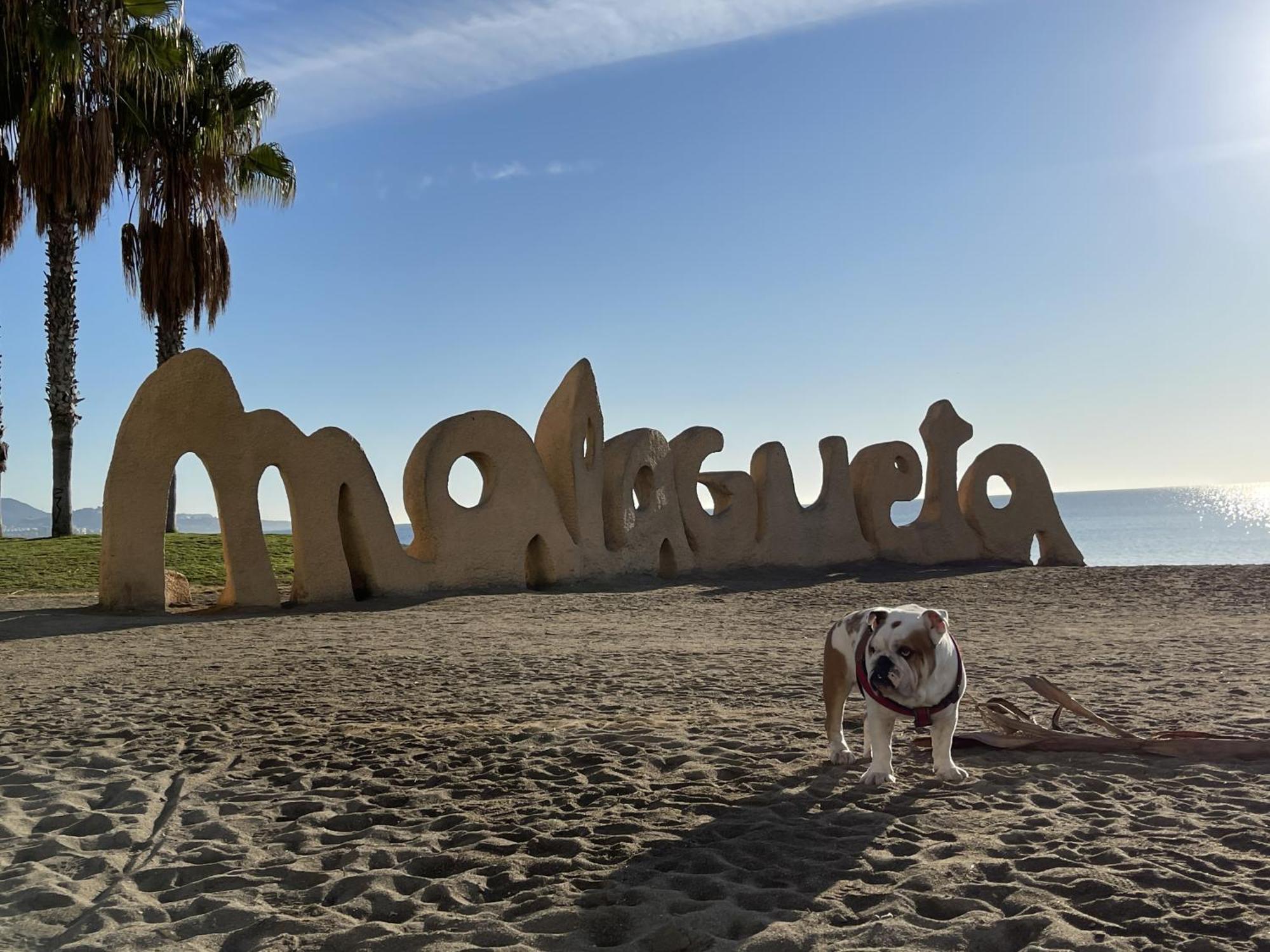 Apto Boutique En La Malagueta Málaga Esterno foto